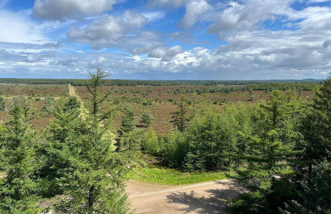 4 Person Holiday Home in Hovborg-by Traum - Foto 17