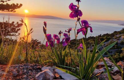 Apartmani Hotko 1 - Foto 24