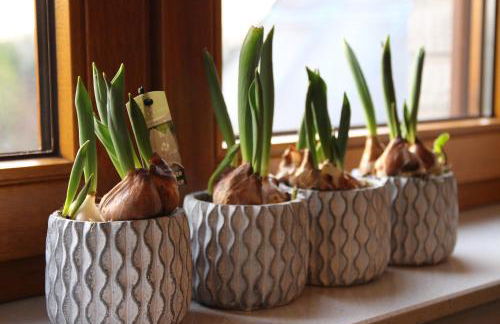 FeWo La Casa - Ferien im Münsterland - Foto 8