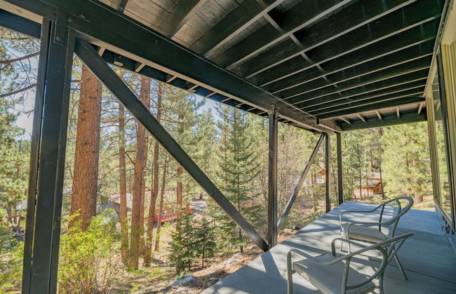 Forest Escape - Foto 13