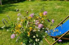 Agroturystyka TWÓJ KĄCIK - Foto 28