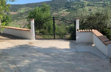 Villa Mattia - Photo 24