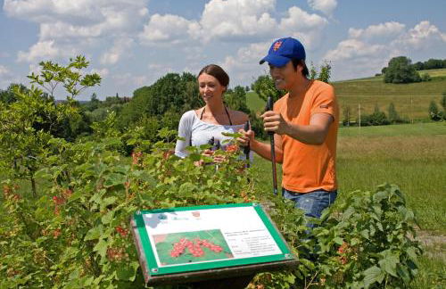 Blockhaus Noffke - Photo 21