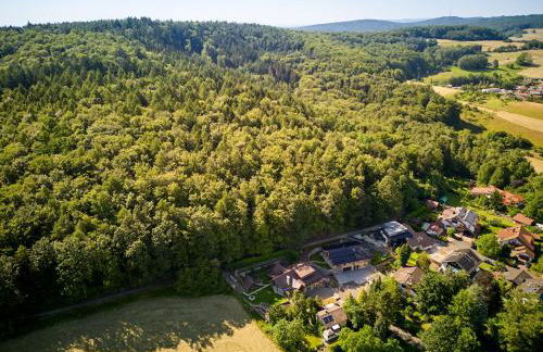 Eveningwood - DTV 5 Sterne Luxus Hüttenparadies, Blockhaus - Foto 72