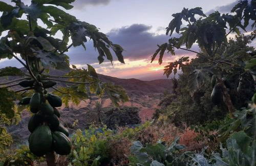 Casa Rural La Vega - Photo 43