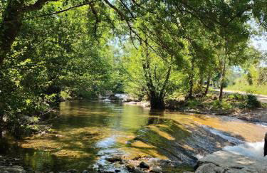 Chez Mi, centre ville, parking gratuit - Photo 3