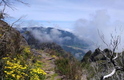 Ape Esquerdo - Foto 30