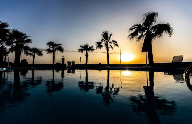 Sun Camero Apartments - Photo 11