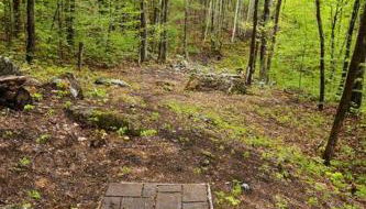 Treehouse in Maine woods- The Grand Oak - Foto 4