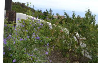 Casa Lucia - Foto 69