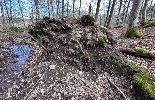 3 Person Holiday Home in Hunnebostrand-by Traum - Foto 20