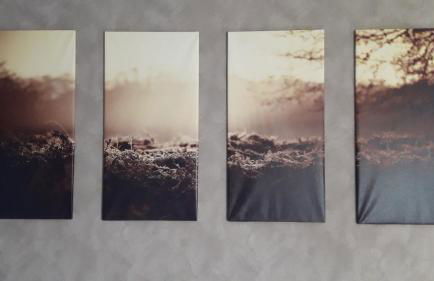 Ferienhaus Nr.7 - Foto 20