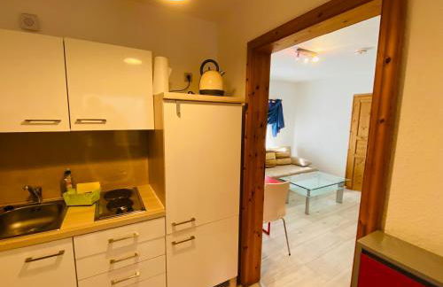 Apartment Emil im EG mit Garten in Suhl - Foto 4