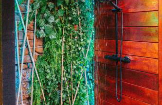 The Jungle! House with Hot Tub. - Foto 25