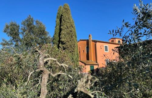 Agriturismo Podere Marchiano - Foto 129