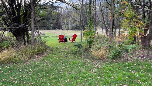 Country Cottage with beautiful views - Foto 5, Garden