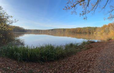 Ferienhaus Reuthsee Natur & Komfort & hundefreundlicher Urlaub in der Rhön - Foto 28