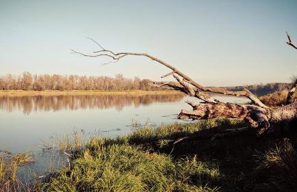 Masuria Warsaw - dom na wyłączność - w lesie i przy rzece - 15 min od Warszawy - Foto 66