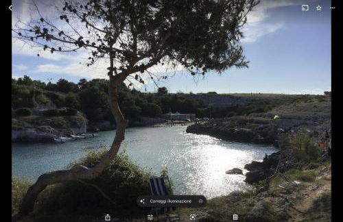 Il Giardino Segreto - Foto 21