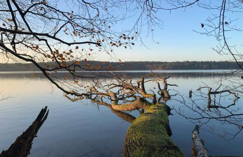 Haus 8 am Grimnitzsee mit Sauna - Photo 21