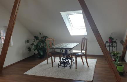 SeenSucht & Urlaubsträume, Ferienwohnung "Seeadler" - Photo 4