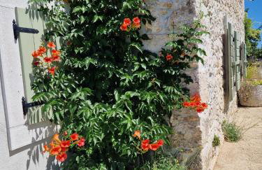 Stone House Rosuja - Foto 65