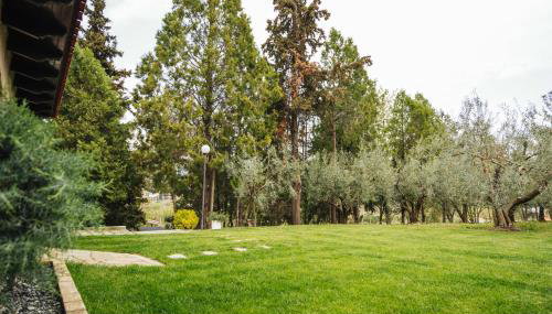 The Tree House - Foto 2, Garden