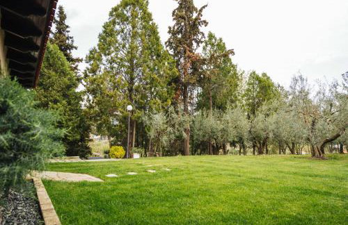 The Tree House - Photo 2