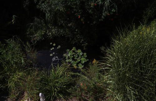 Ferienwohnungen Ries - Photo 22