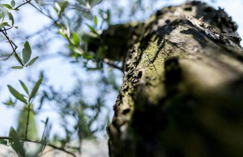 Estança La Pau - Adults Only - Photo 72