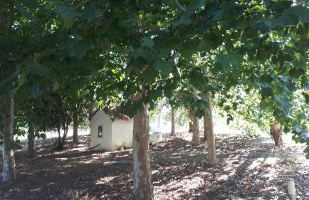 Villa Dunes 350m from the sandy beach - Foto 61