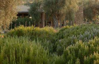 IUTA Glamping & Farm - Foto 160