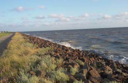 Österdeichstrich - Foto 17