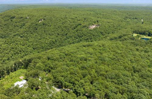 Coyote Cabin at Woodland Retreat at DeSoto beside DeSoto State Park - Foto 38