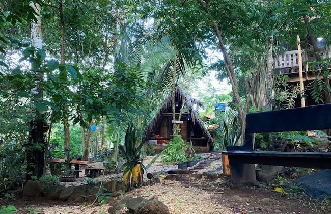 Pousada Pouso das Araras - Foto 4