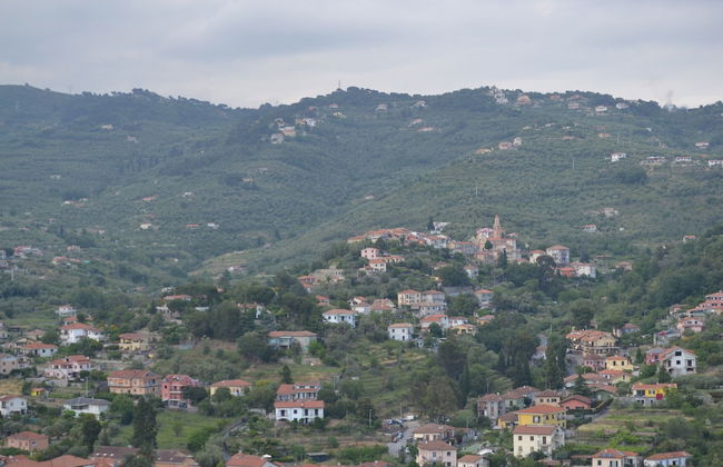 Azienda Agrituristica Villa Arianna - Photo 37