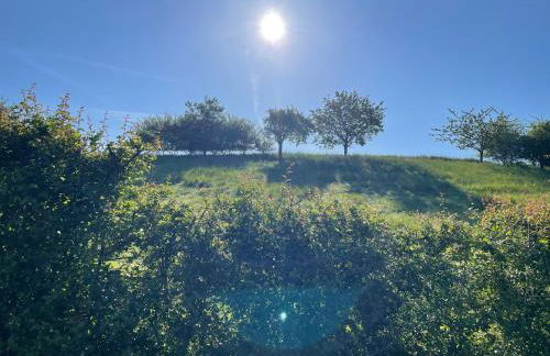 Zimmer Emmer, ein Zimmer in FeWo mit zwei Zimmern - Foto 25