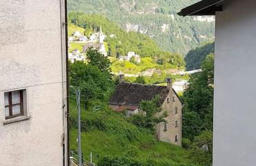 Verde Bosco - Photo 14