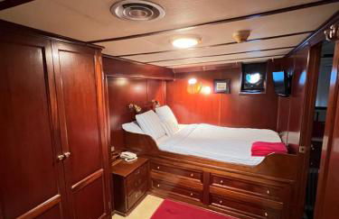 Southern Cross - Foto 70