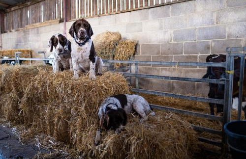 Marsh Farm - Photo 11