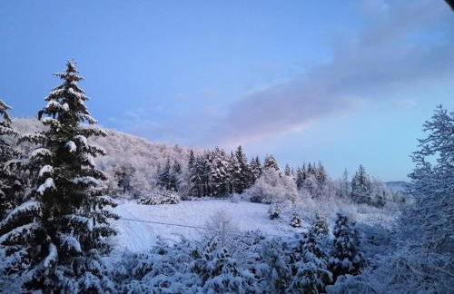 Villa Porcigliano Olive Grove - Foto 63