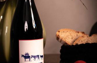 Zur Traube - grün - Foto 33