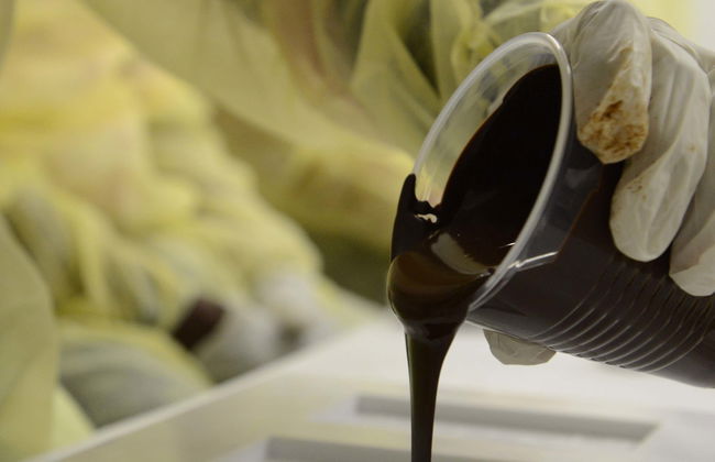 Visita a la fábrica de chocolate Graycliff - Foto 1