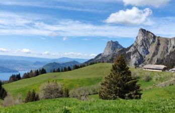 C le birdie - Foto 44