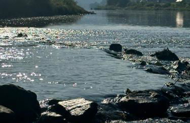 Am Springbrunnen - Foto 23