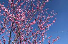 ElleCi Casa Vacanze - Photo 65