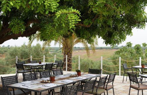 Momentum Wellness Bioresort - Foto 47