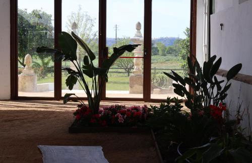 Pátio das Ribeiras - Foto 60