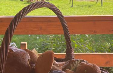 Wakacyjny Dom w Sakach - Foto 13