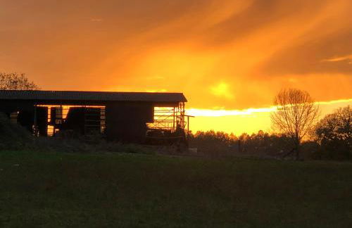 Charmant Chalet LE DAMELI, Village du Soleil, Chalet 61 - Foto 33